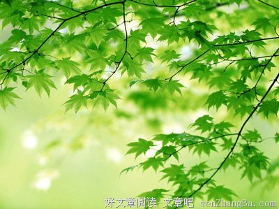 关于煞风景的座右铭