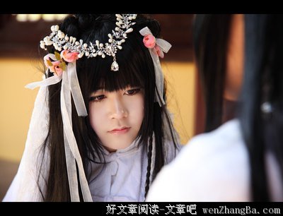 最全的《东宫》小说书摘