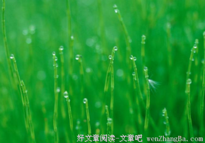 成百上千的语句摘抄_关于成百上千的语句