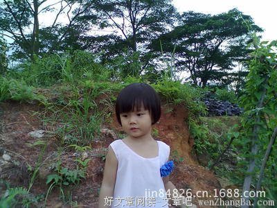 豆豆经典语录