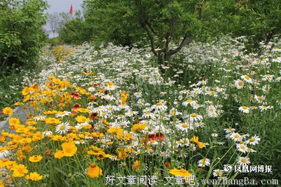 春风化雨的名人名言