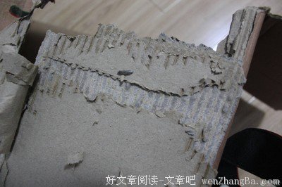 2017黑心苹果的名言名句