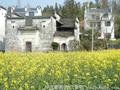 关于小念的语句