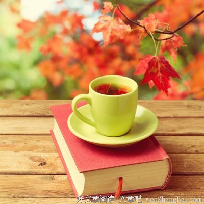 关于荀子的语句