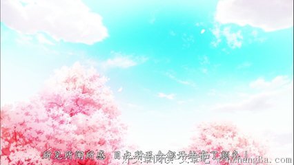 最全的《四月是你的谎言》经典语录大全