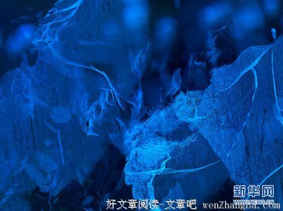 如此奇妙效果，竟来自这样诉苦！