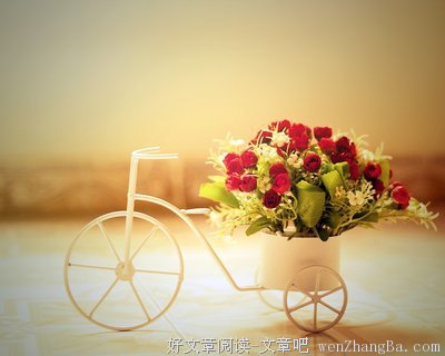 苏小懒经典语录