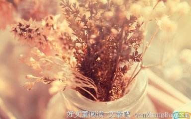 关于有志者事竟成名言名句