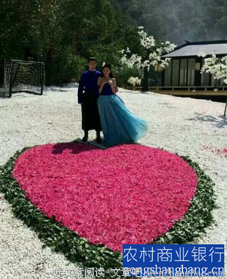 《太子妃升职记》小说摘抄
