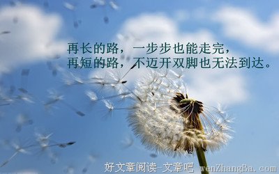 关于老林的唯美语录