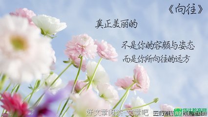 关于衰老的语句