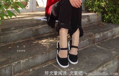 最全的《小木木》语录摘抄