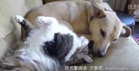 她说：”不约！“最后还是躺我怀里了……