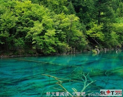 “生活真是坏到极致……”呵呵……