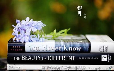 孟浩然的句子