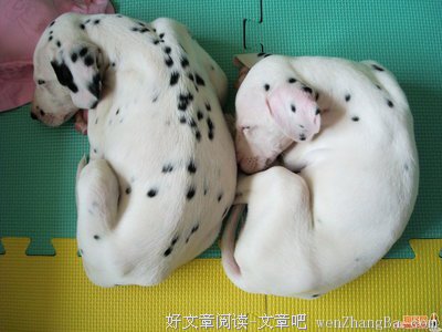 关于酣眠的名言