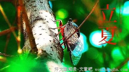 夫妻间做到这几点，想离婚都难！