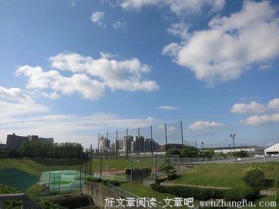 这是一个不幸的消息：宜家要开宠物商场，从此人将更不如狗了...