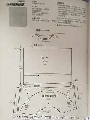 萌芽经典 | 菜心能治失眠，作者：卢也森