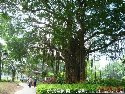 最新的墨香铜臭经典名句