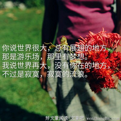 流浪的蛤蟆15句经典名言