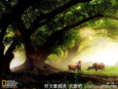 两种人：一种爱挑自己国家毛病，希望国家更好，一种爱挑美国毛病