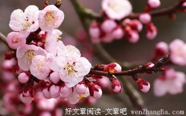 精辟的语句摘抄_关于精辟的语句