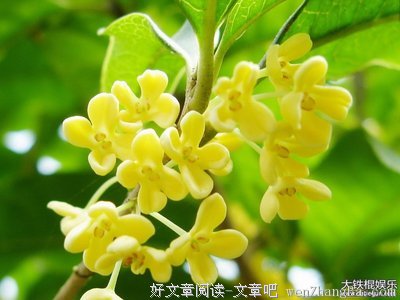 描写一穷二白的经典句子
