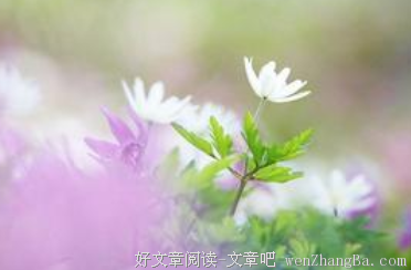 刘墉经典语录