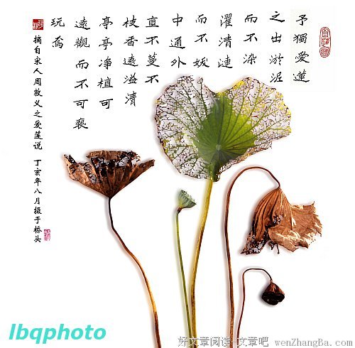 关于公诸于世的名句摘抄