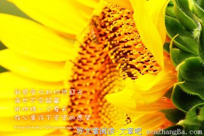 最新的《二三事》经典的句子