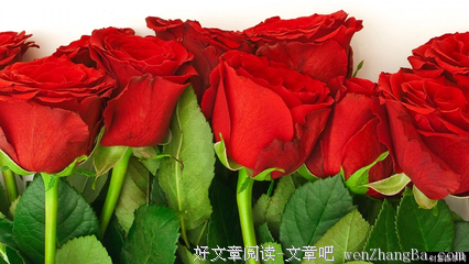 【NO.334红线杂货铺】恭喜第269对恋人步入婚姻殿堂，祝福第642、