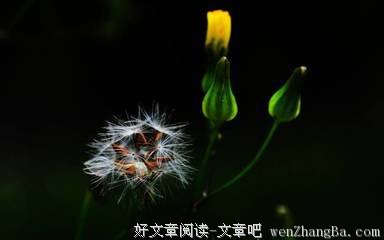 小约翰 | 怎么带孩子参加主日敬拜（上）