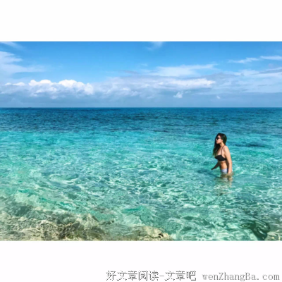 那个爱玩鲨鱼的运营姑娘