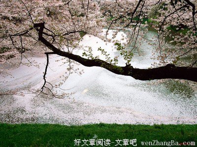 因他在我右边，我便不至摇动