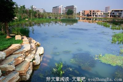 15条关于临危不惧的经典语句