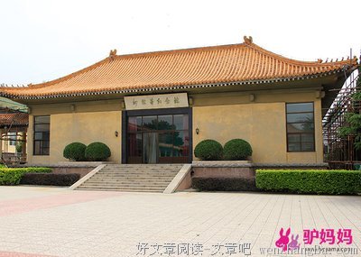 论跟老妈做斗争，你赢不赢的了心里还没点数吗？