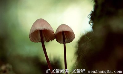 2017马德15句经典名言