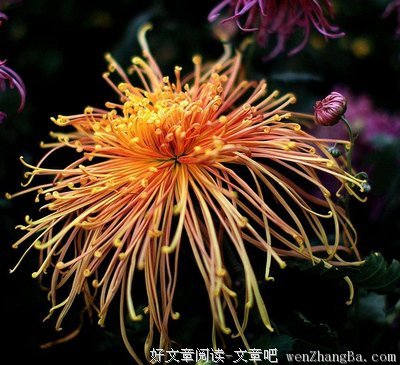 废物是怎样炼成的？