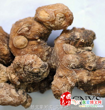 15条关于畏缩不前的经典语句
