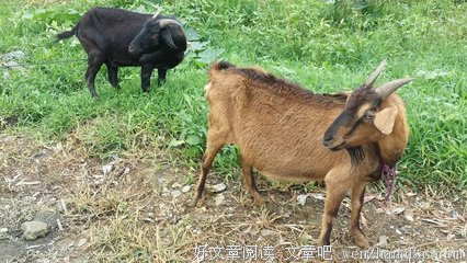 你这样聊天，迟早被拉黑