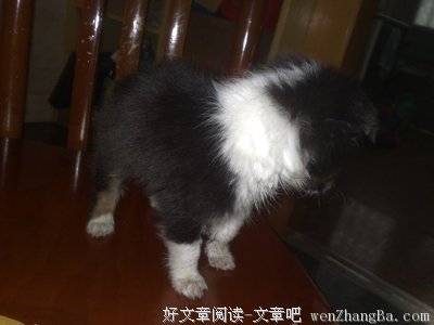 只谈爱不谈边界的关系，有毒