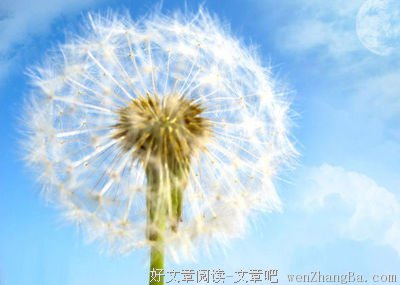能给你朋友圈封面点赞的人，才是真爱！