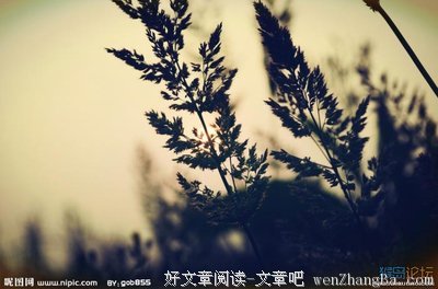 真正喜欢上一个异性，你会有这7种感觉