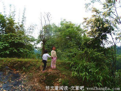 叫家长不要检查作业的，是解放家长还是坑了孩子？