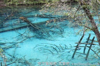 我才结婚5年，但他已经不上我的床了