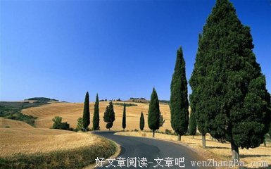 最新的皮诺的名字是太阳15句经典名言