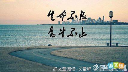 尼曼格言警句