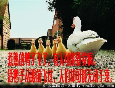 最经典的《承欢记》经典的句子大全