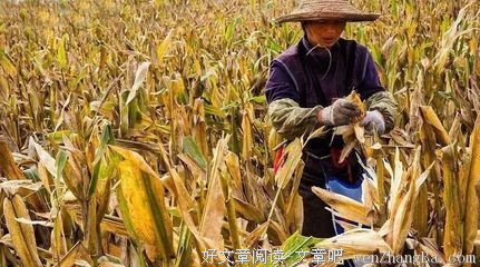 女人坏不坏，只看1個地方！